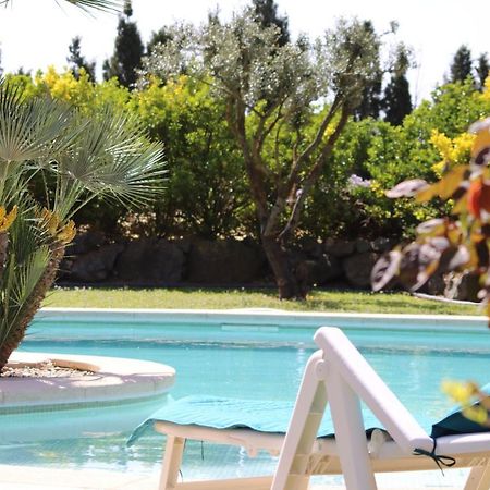 Casa Gecko Hotel Vilajuiga Екстериор снимка